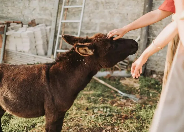 Historic Estate With Wellness In Normandy